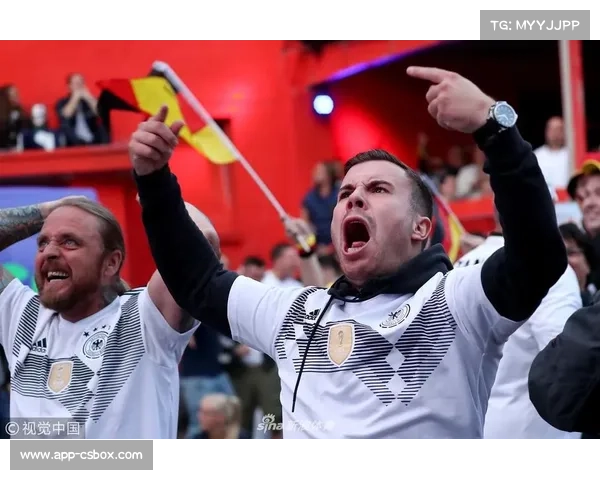 球迷观赛动机研究：实用主义者与铁杆粉丝的赛事参与差异